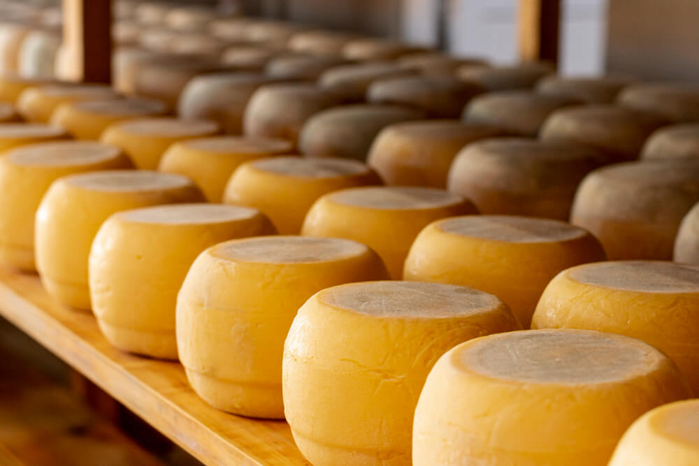 queso
