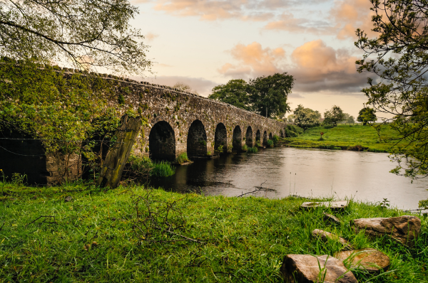 estudiar en irlanda verano