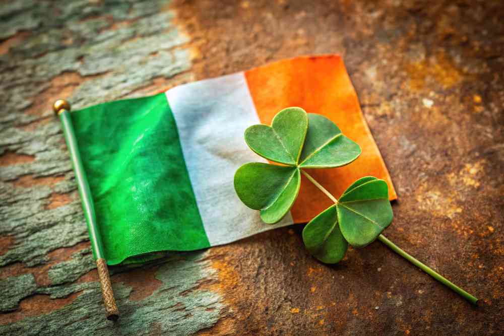 colegios irlanda