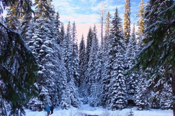 Chilliwack_British Columbia