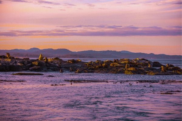Gulf Island_British Columbia