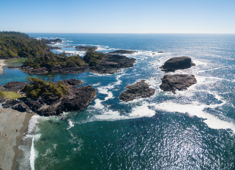 estudiar en tofino canada