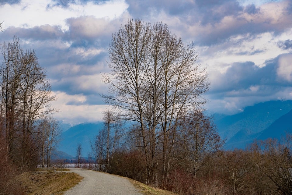 colegios en British Columbia