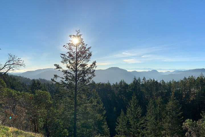 Estudiar en Cowichan Valley