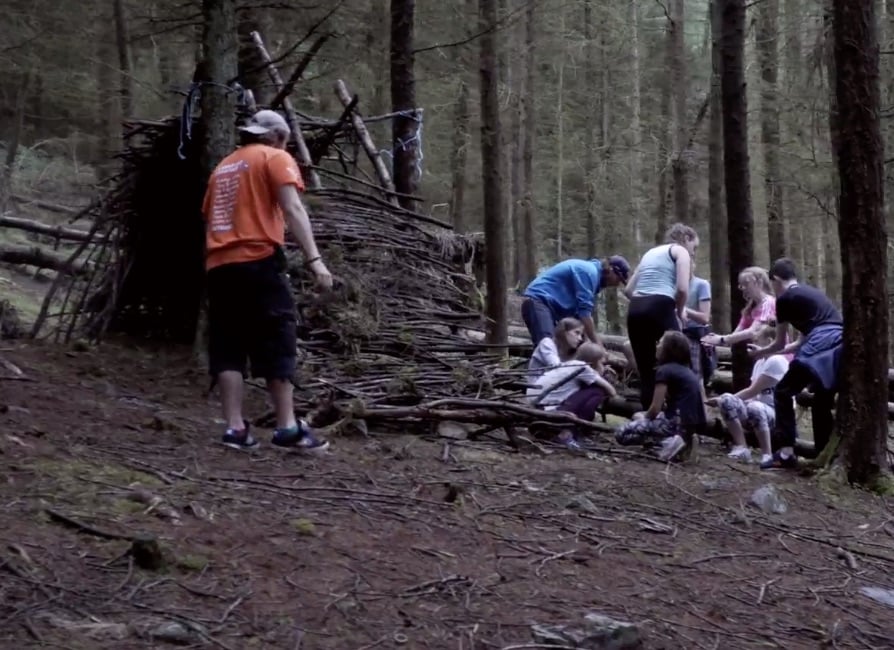 Forest.jpg