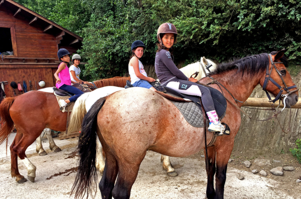 campamento con caballos