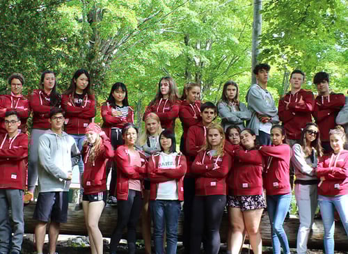 estudiar en canada limestone