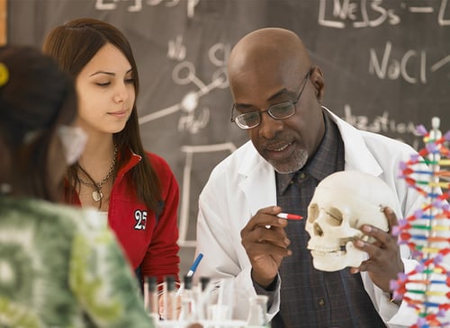 estudiar en limestone canada