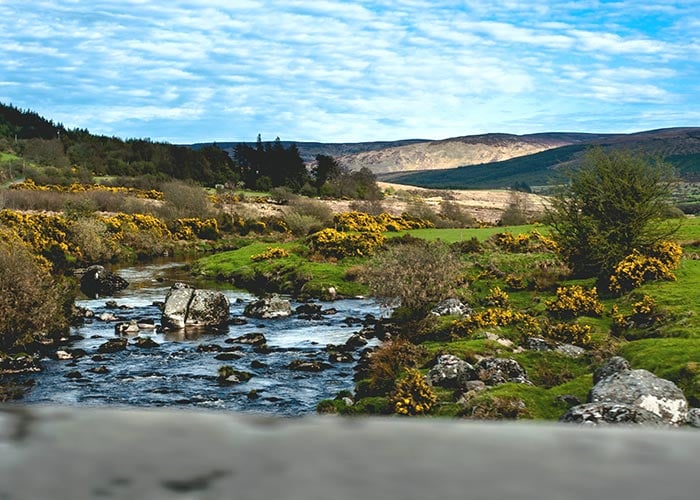 estudiar-en-Wicklow