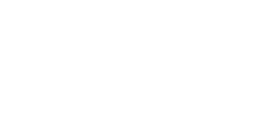 logo-programa-nb-frances