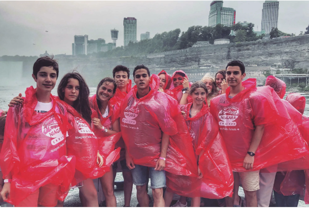 Colegios en Niagara Catholic