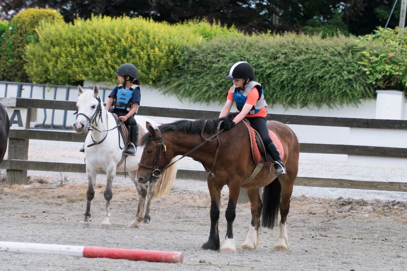pony-camp-irlanda