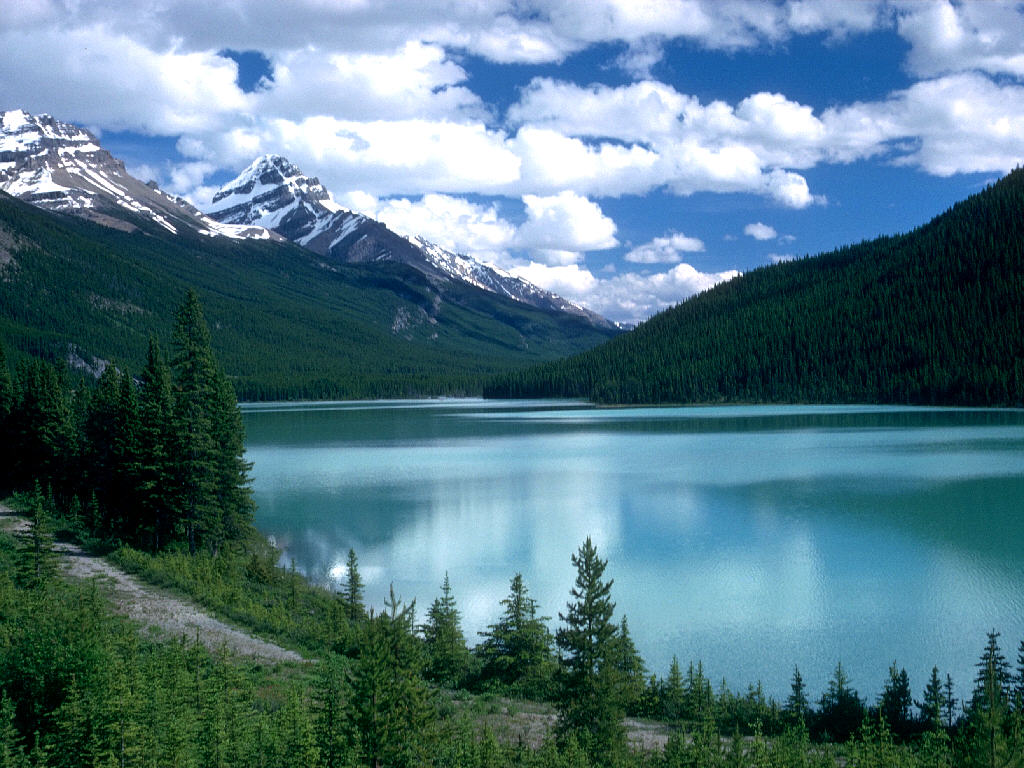 Año Escolar en Alberta